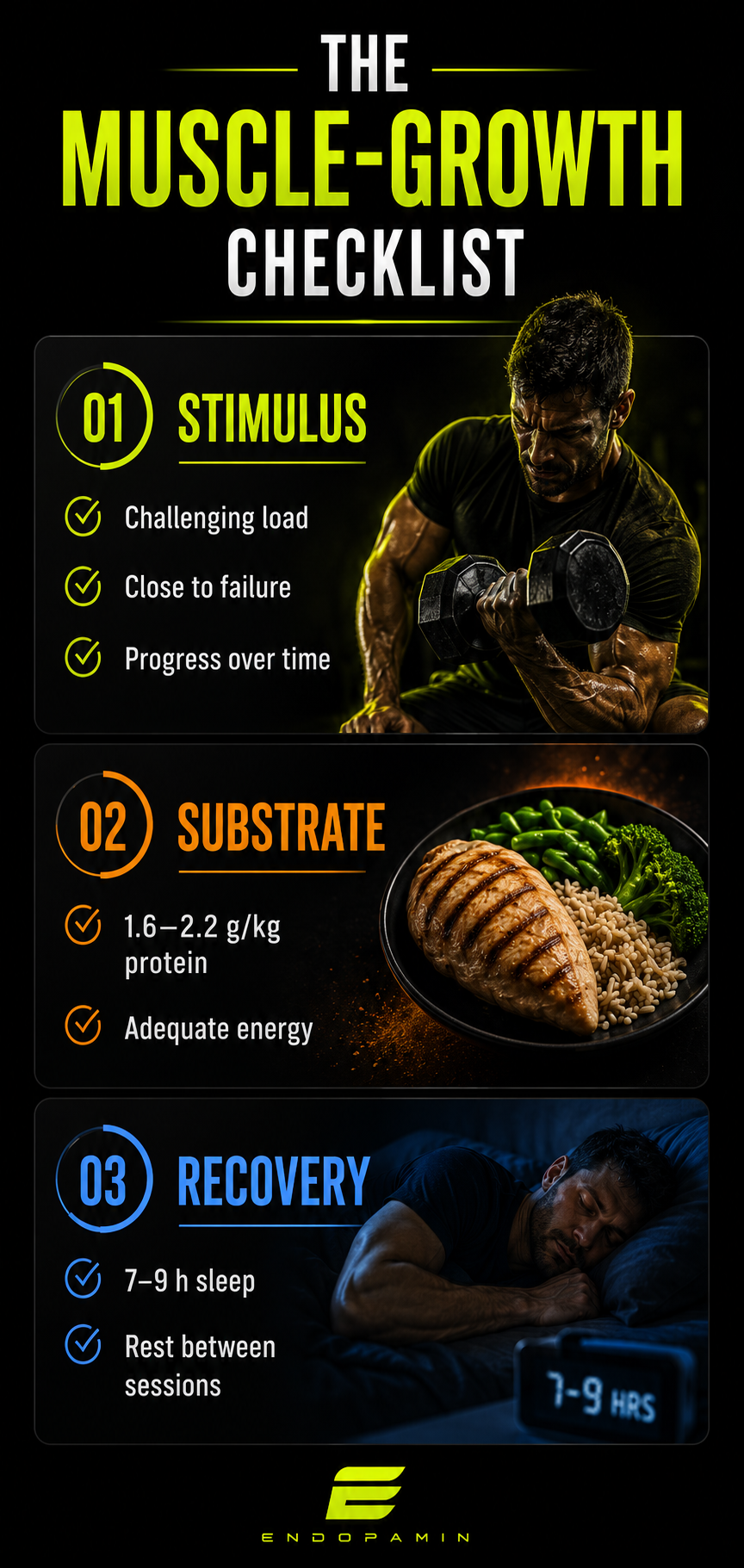 The muscle-growth checklist: stimulus, substrate, recovery.