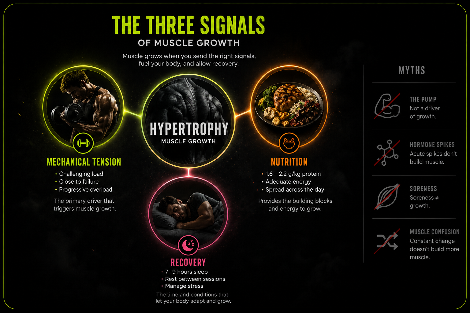 The three signals of muscle growth: mechanical tension, nutrition, and recovery.